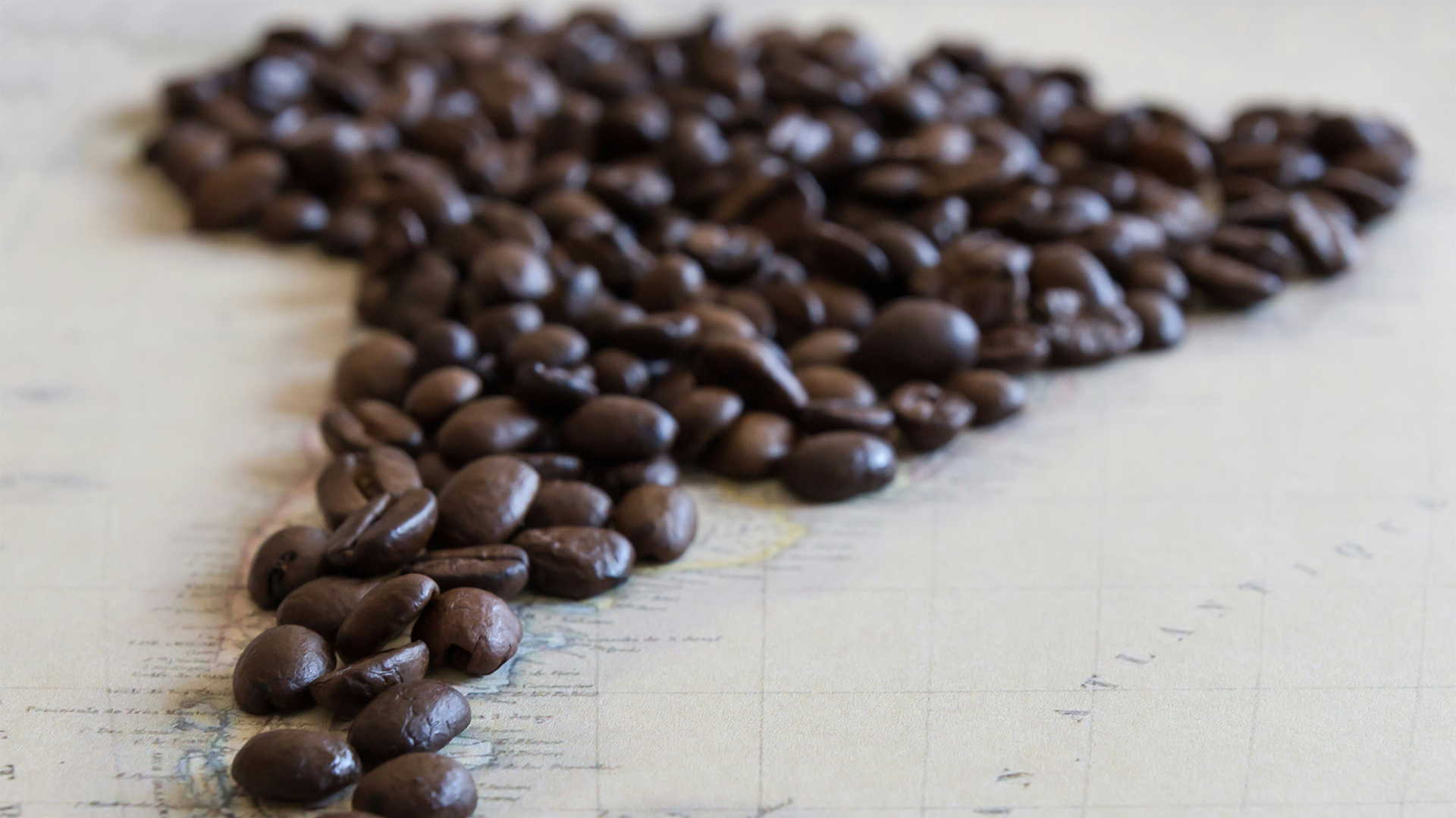 Kahve kavurma aşamaları