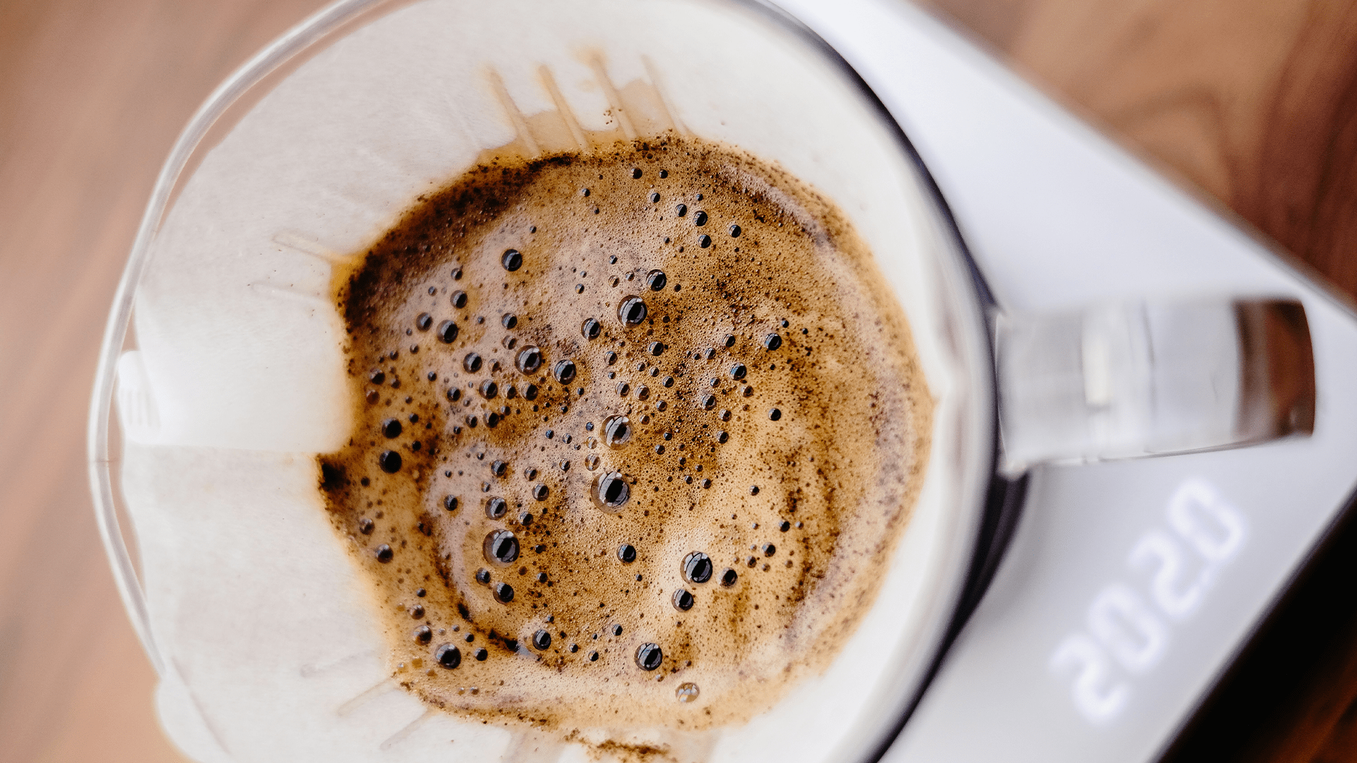 Blooming aşamasını yansıtan görsel