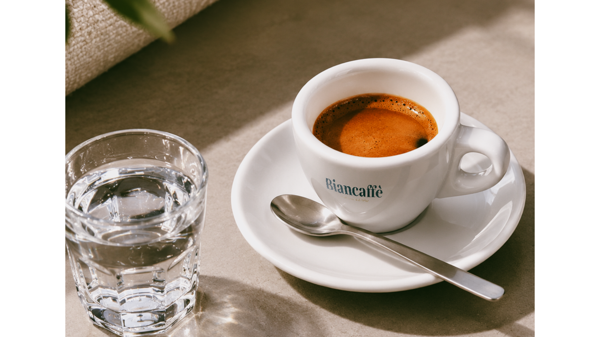 cortado